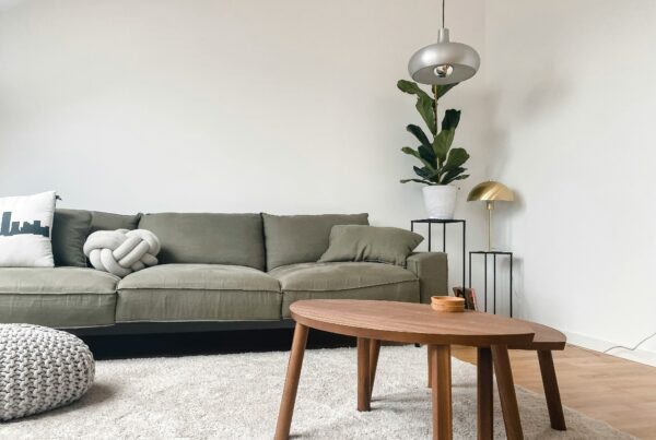 Bright, clean living room with a green sofa and houseplant, symbolizing a mold-free, healthy home environment after remediation.